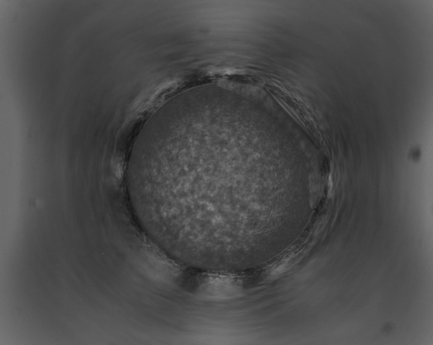 X0000091710709200708241247