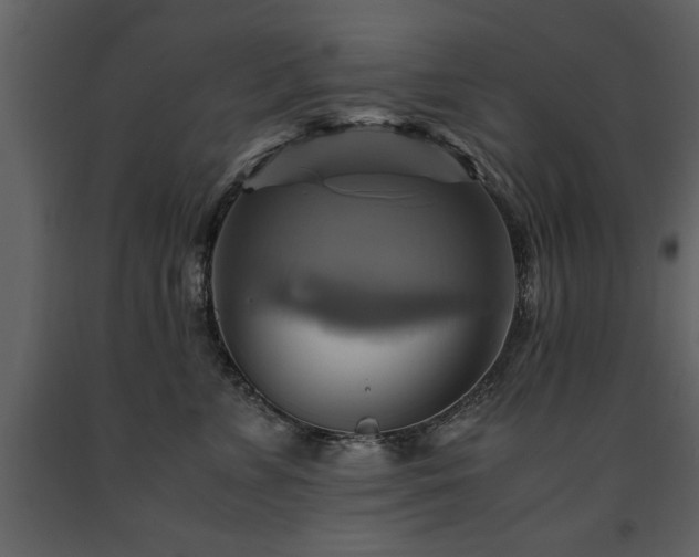 X0000091710715200708241247