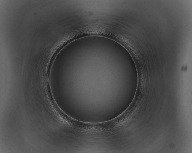 X0000091710721200708241246