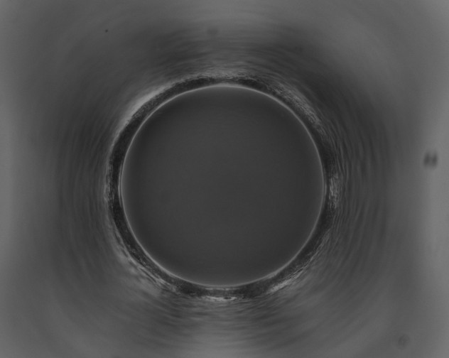 X0000091710724200708241246