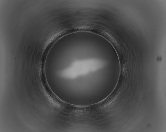 X0000091710725200708241246