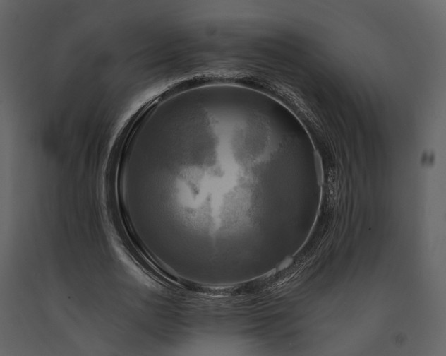 X0000091710726200708241246