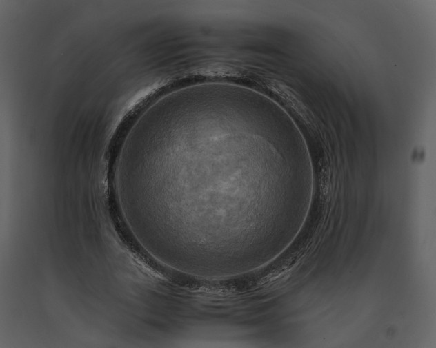 X0000091710727200708241246