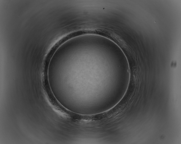 X0000091710728200708241246
