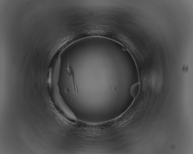 X0000091710729200708241246