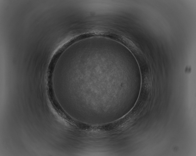 X0000091710730200708241246