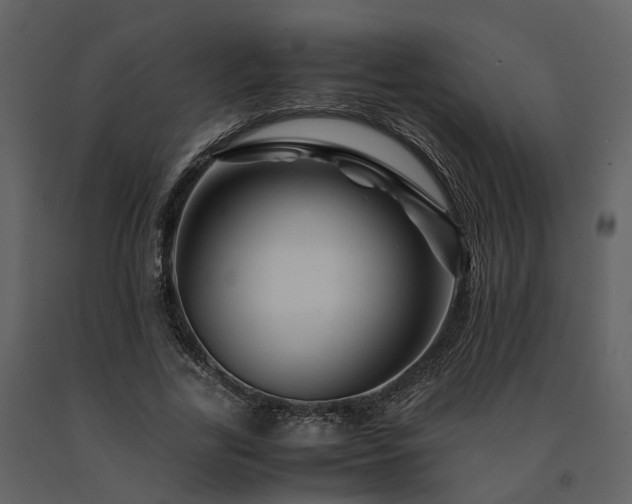 X0000091710731200708241246