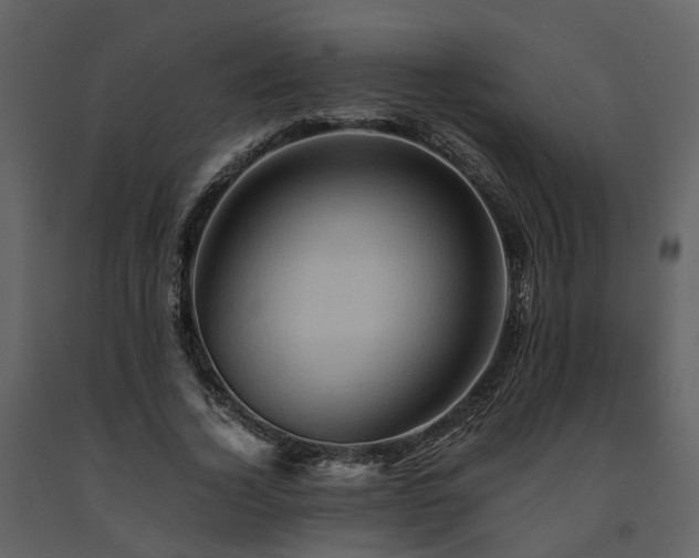 X0000091710732200708241246