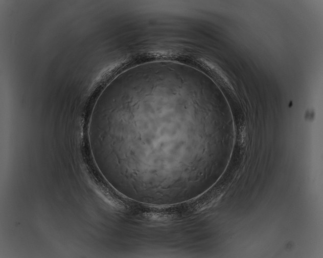 X0000091710733200708241246