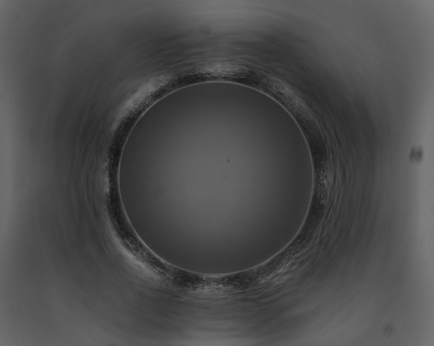 X0000091710734200708241246