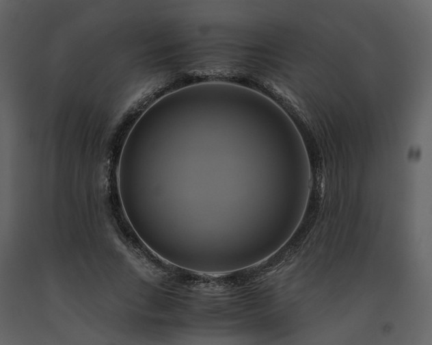 X0000091710735200708241246