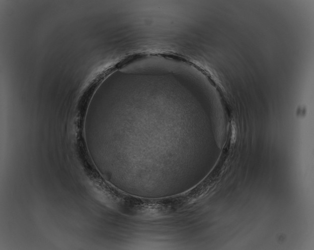 X0000091710736200708241246