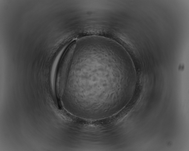 X0000091710737200708241246