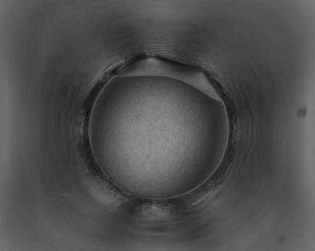 X0000091710739200708241246