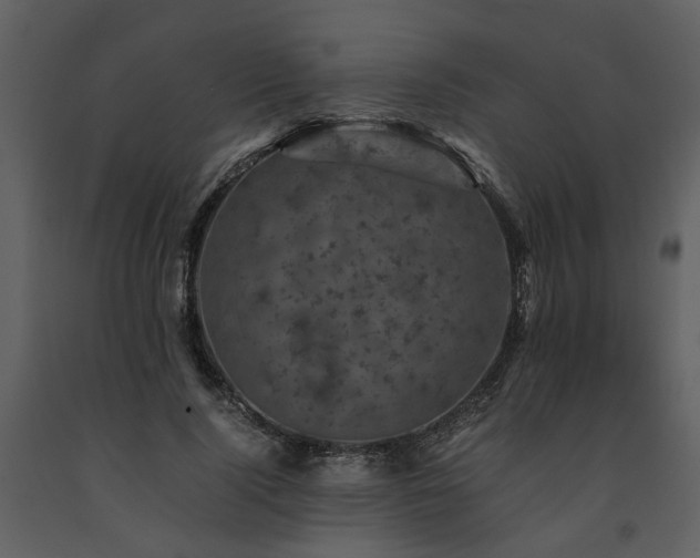 X0000091710740200708241246