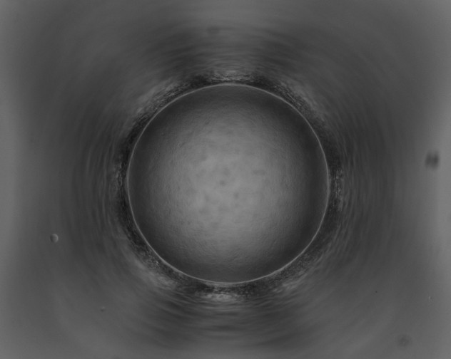 X0000091710741200708241246