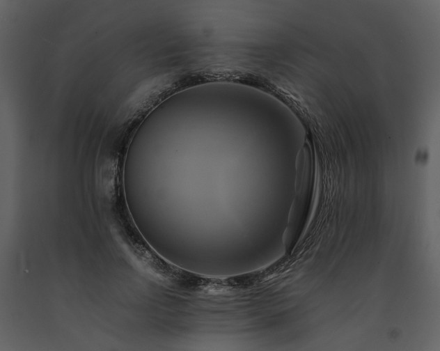 X0000091710742200708241246