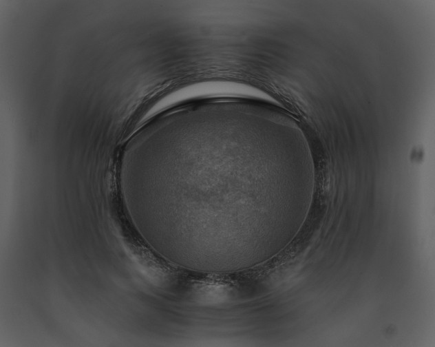 X0000091710743200708241246
