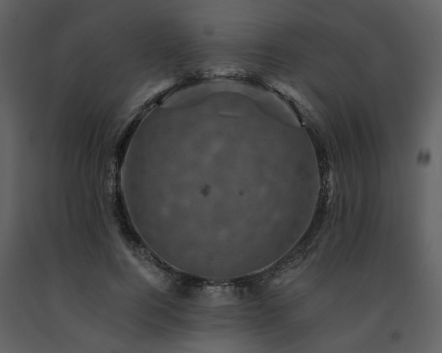 X0000091710744200708241246