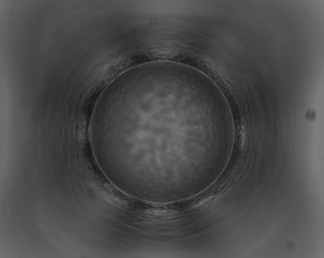 X0000091710745200708241246
