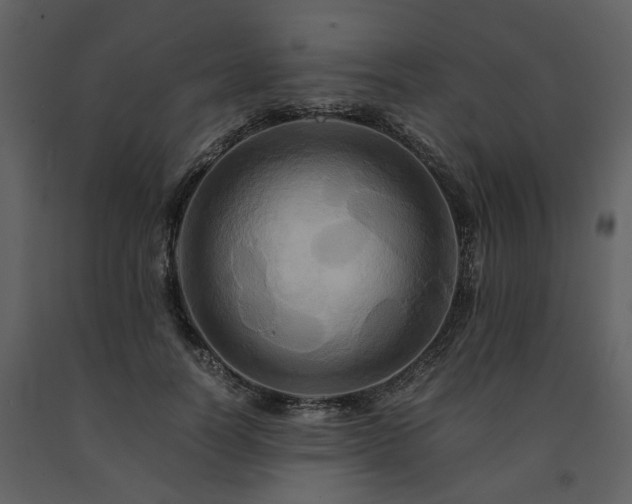 X0000091710746200708241246