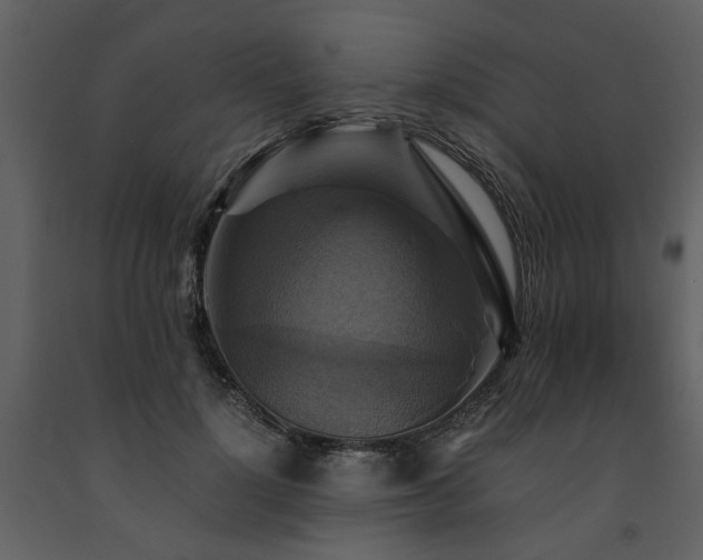 X0000091710748200708241246