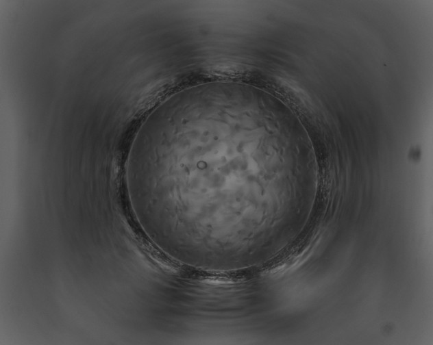 X0000091710749200708241246