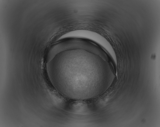 X0000091710750200708241246
