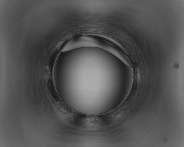 X0000091710752200708241246