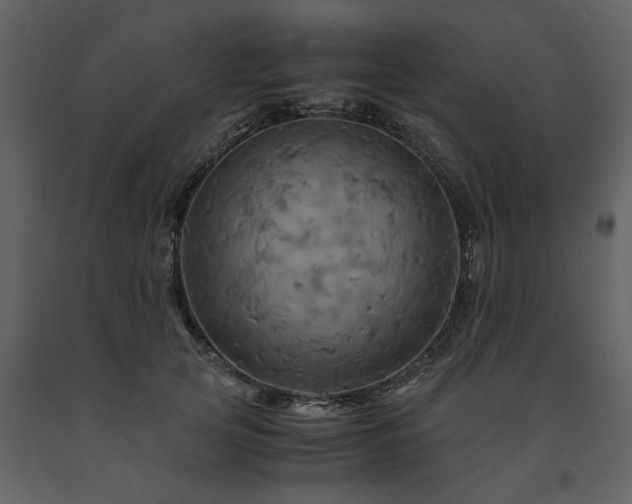 X0000091710753200708241246