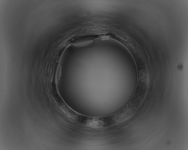 X0000091710754200708241246