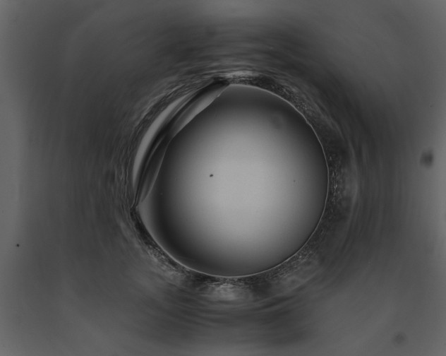 X0000091710755200708241246