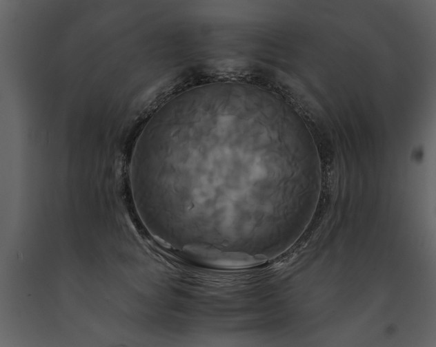 X0000091710757200708241246
