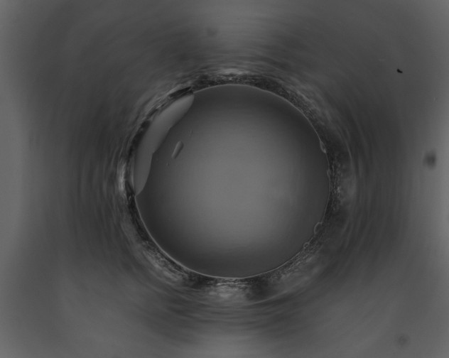 X0000091710758200708241247