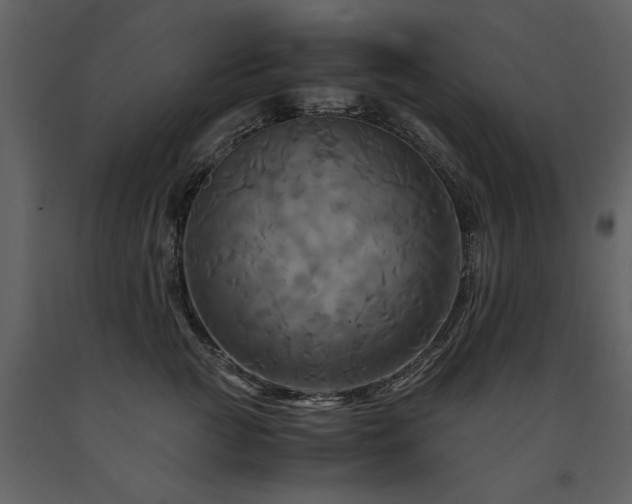 X0000091710761200708241247