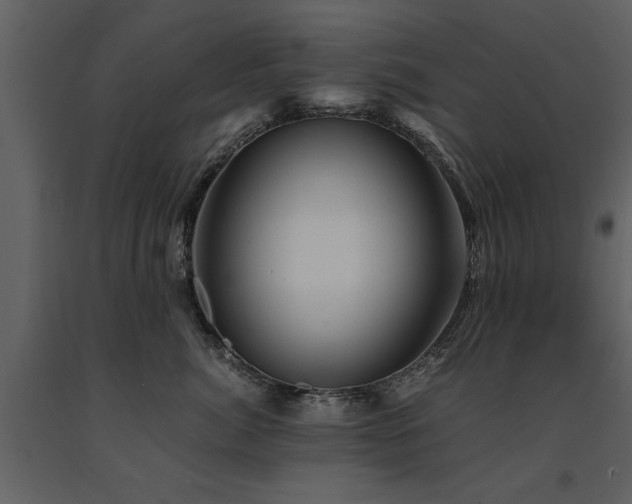 X0000091710764200708241247