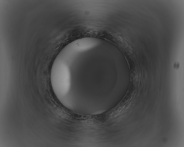 X0000091710769200708241246