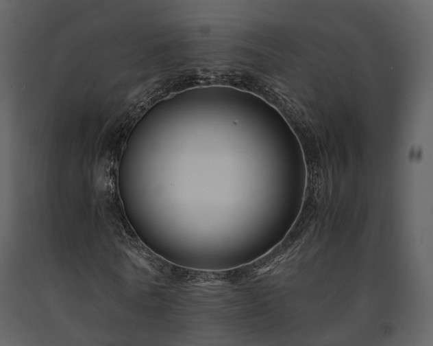 X0000091710770200708241246