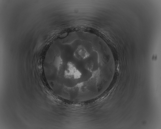 X0000091710771200708241246