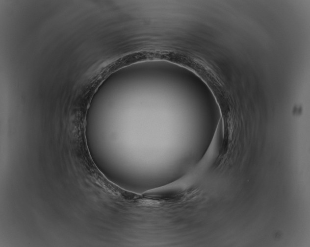 X0000091710773200708241246