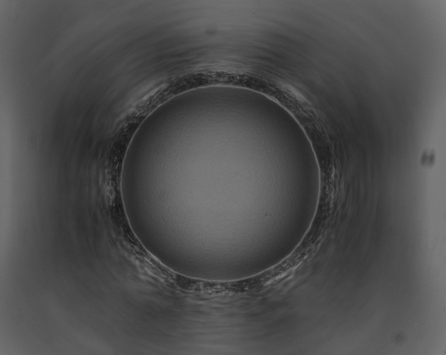 X0000091710774200708241246