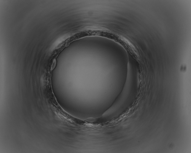X0000091710775200708241246