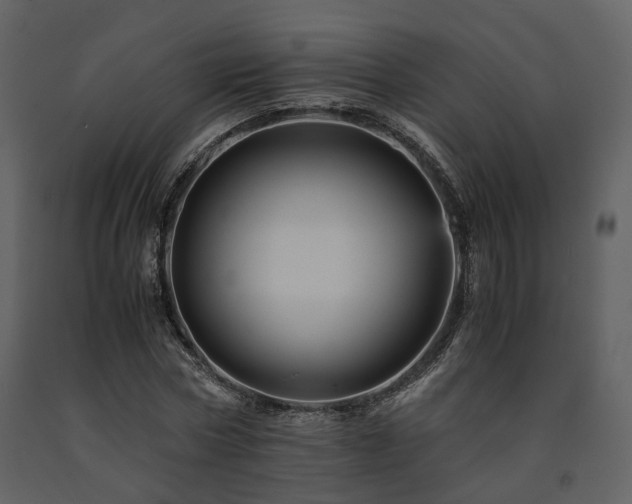 X0000091710778200708241246
