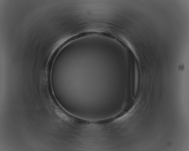 X0000091710779200708241246