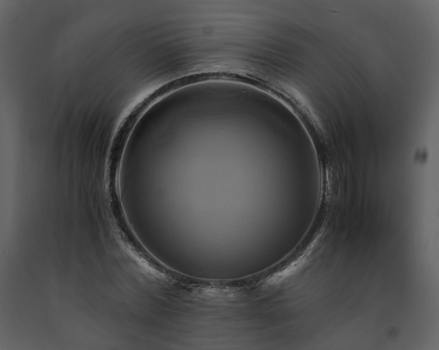 X0000091710780200708241246