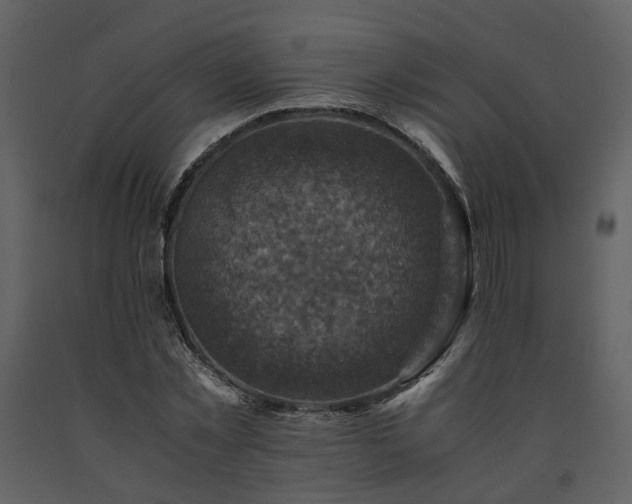 X0000091710781200708241246