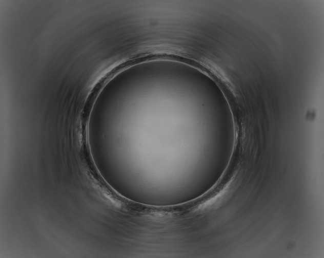X0000091710782200708241246