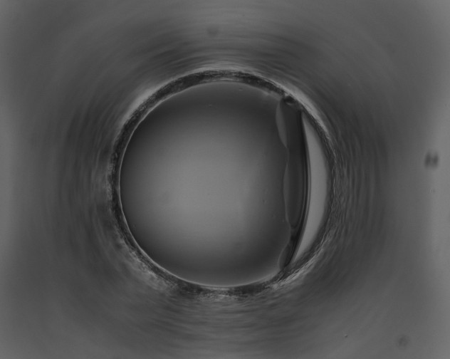 X0000091710783200708241246
