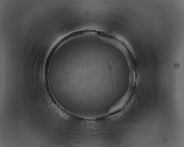 X0000091710784200708241246