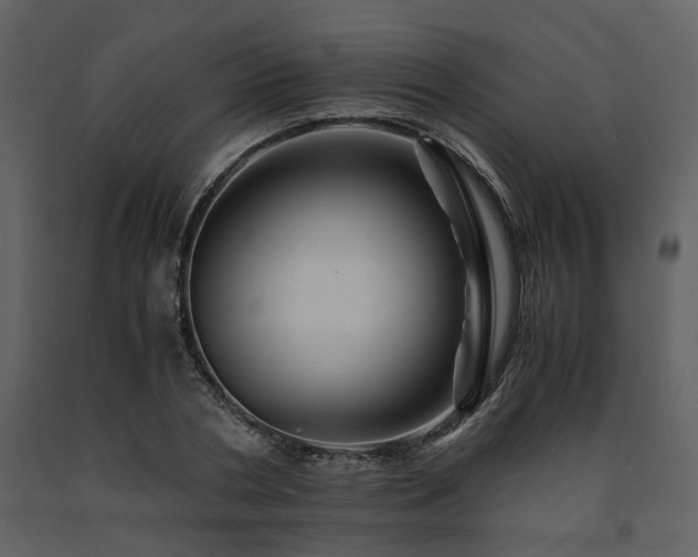 X0000091710786200708241246